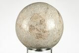 Polished Agatized Dinosaur (Gembone) Sphere - Morocco #198499-1